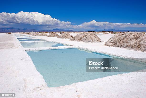 Saltern Pools Stockfoto und mehr Bilder von Berg - Berg, Argentinien, Salz - Mineral