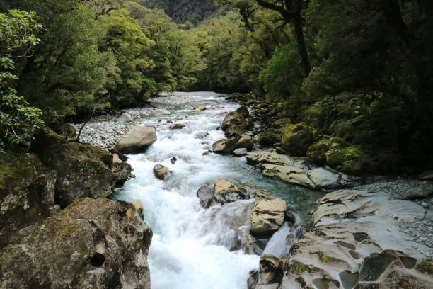 istock A rocky river in Milford Sound 1641217486