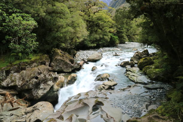 istock A rocky river in Milford Sound 1641217491