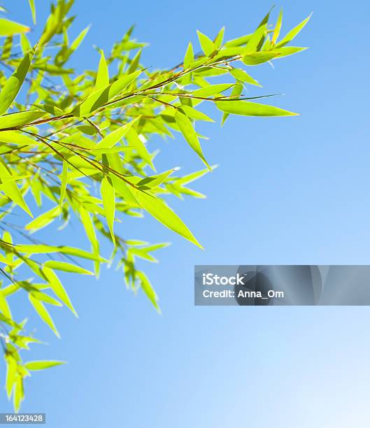 Frischer Bambus Blätter Grenze Stockfoto und mehr Bilder von Ast - Pflanzenbestandteil - Ast - Pflanzenbestandteil, Bambus - Graspflanze, Baum