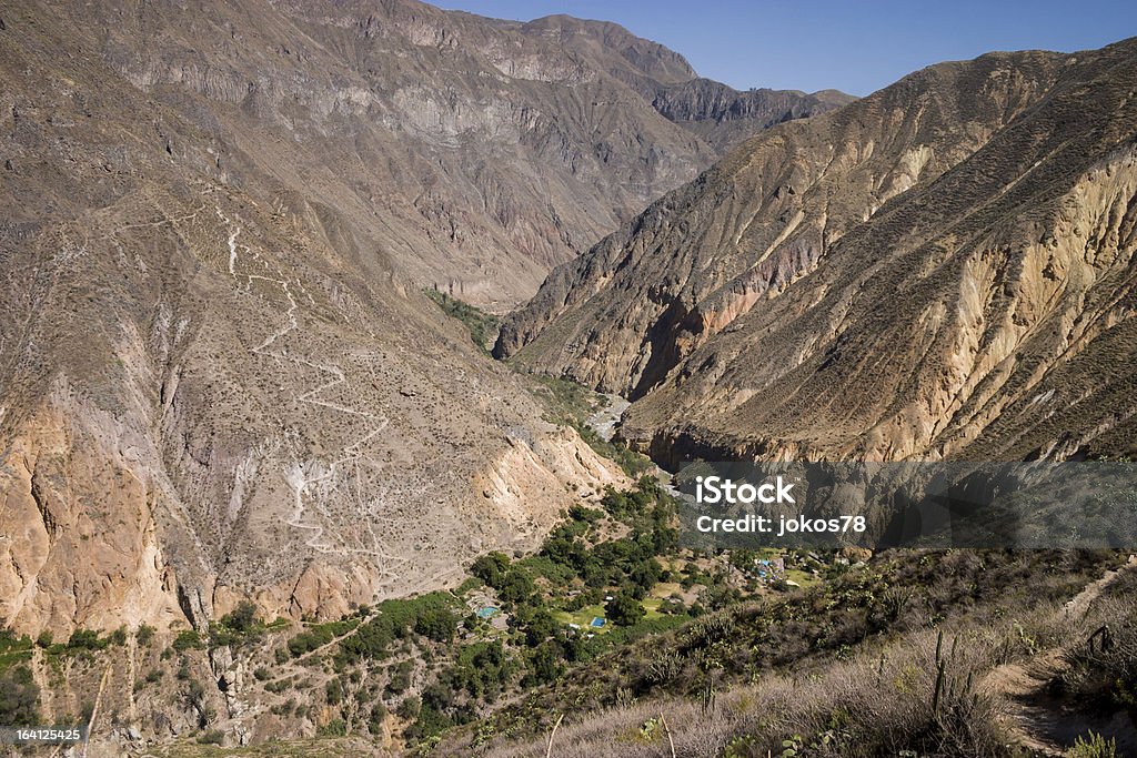 に colca canyon のオアシス - アレキパ地方のロイヤリティフリーストックフォト