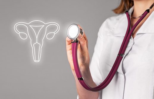 Female reproductive system health, annual check-up concept. Gynecologist and uterus, womb examining. High quality photo
