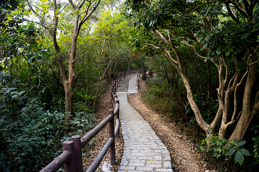 Stone stairway, stair, trail, footpath, country road, alley, lane in Hong Kong forest as background