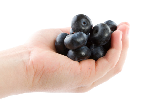 woman picking blueberries in forest \nPhoto of hand with blueberries