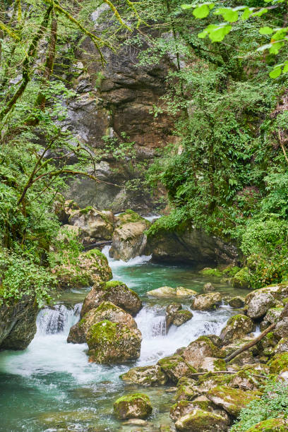 istock Tolmin Gorge in Slovenia 1641411563