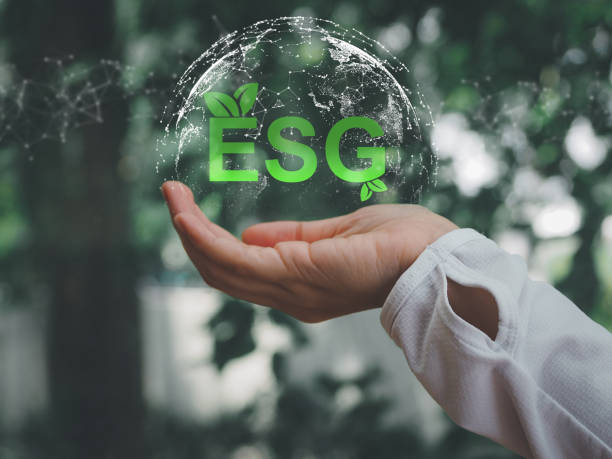 istock Green business ESG environmental concept 1641427314