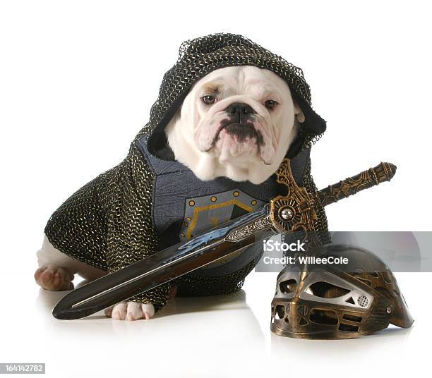 Собака Одет Как Knight — стоковые фотографии и другие картинки Собака - Собака, Рыцарь, Костюм-наряд