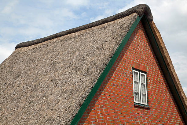 istock Gable of a house with thatched roof 164143181