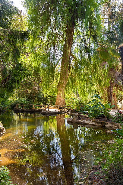 istock Enchantingly romantic corner in the park 164144052
