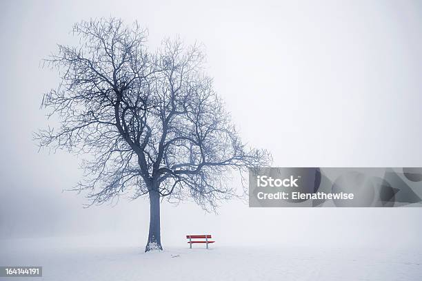 Winter Tree In Fog Stock Photo - Download Image Now - Bare Tree, Bench, Blue