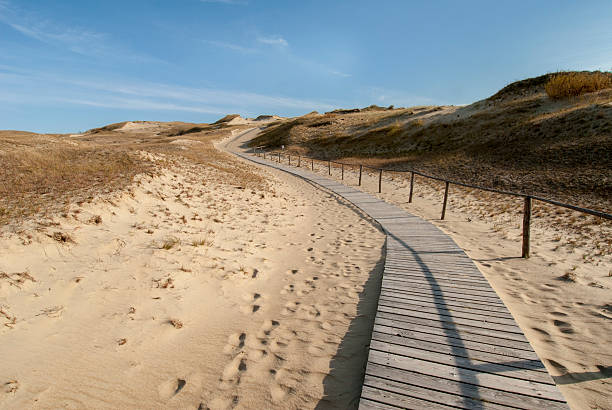 istock Wooden path at Curonian Spit sand dunes in Lithuania 164144229