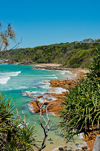 Rocky and sandy bay at Coolum, Queensland, Australia near Point Arkwright. White breaking surf with some swimmers. Beautiful sunny day with clear blue sky. Vertical image orientation.