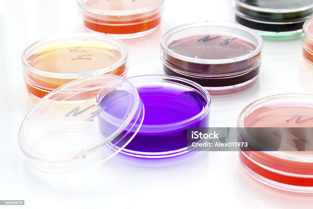 Kolor płynu w stary plastikowe Płytki Petriego - Zbiór zdjęć royalty-free (Badania)