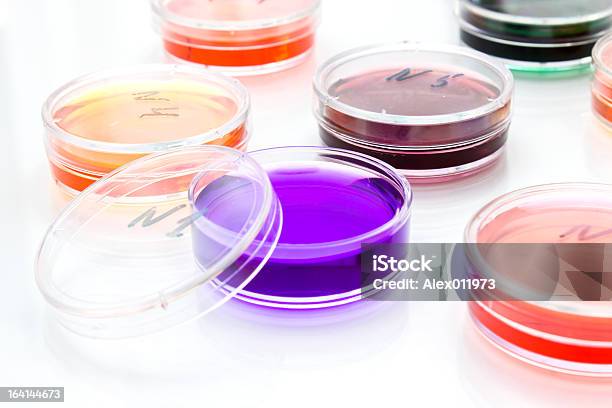 Kolor Płynu W Stary Plastikowe Płytki Petriego - zdjęcia stockowe i więcej obrazów Badania - Badania, Badania kliniczne, Bez ludzi