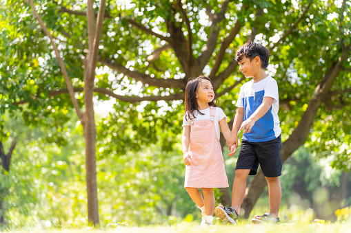 Little Asian boy and girl sibling walking and playing together at park. Happy Asian family enjoy and fun outdoor lifestyle on summer vacation. Family relationship and children development concept.