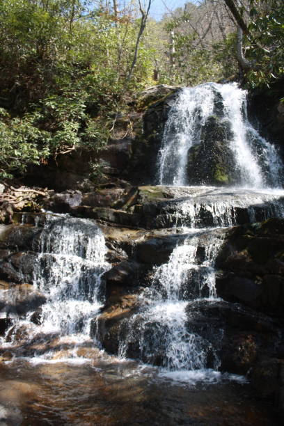istock Great Smoky Mountain National Park 1641452628
