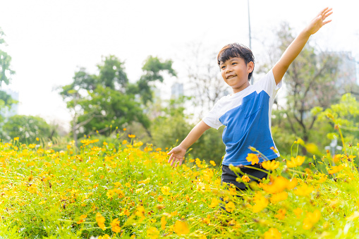 Little Asian boy playing in the garden on summer holiday vacation. Asian family enjoy and fun outdoor lifestyle travel park in the city together. Family relationship and children development concept.
