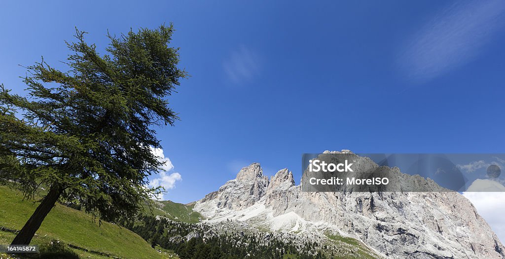 Dolomiti di Val Gardena in Italia, Sella Pass, paesaggio di montagna - Foto stock royalty-free di Albero