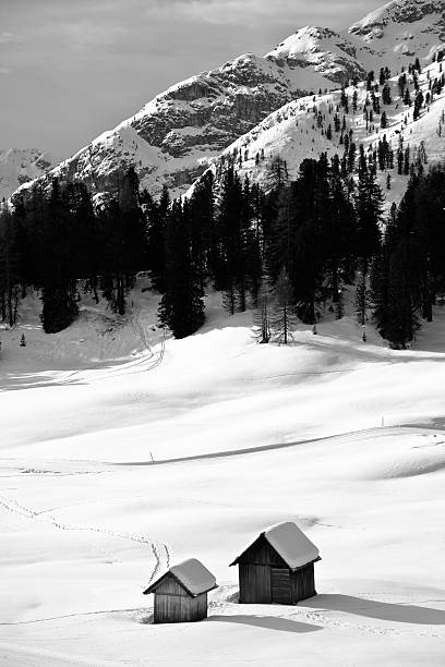 istock Winter Landscape in the Dolomites, Italy 164147288