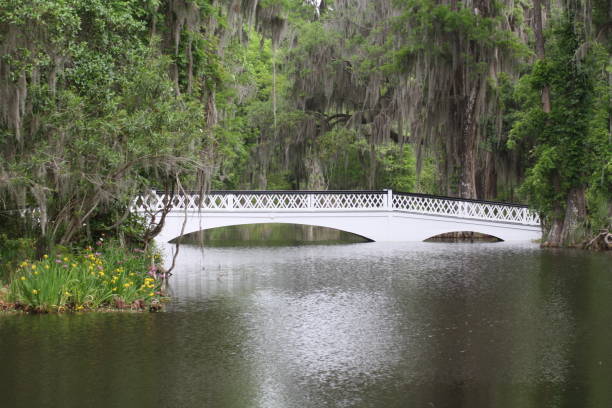 istock South Carolina Planttion 1641474472