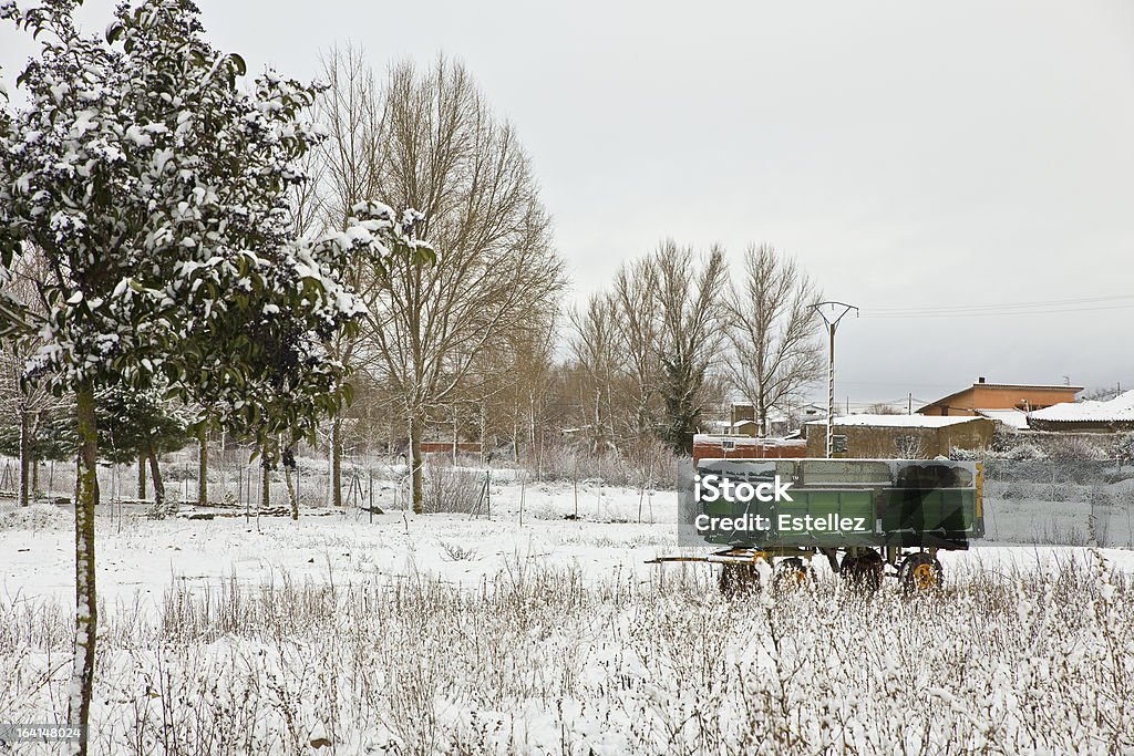 Nívea paisaje de invierno - Foto de stock de Aire libre libre de derechos