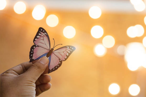 istock Butterfly on hand in orange light background Conceptual image of freedom 1641496106