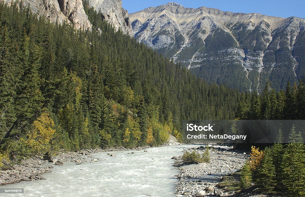 La rivière Kicking Horse, le parc National de Yoho, Canada - Photo de Abrupt libre de droits