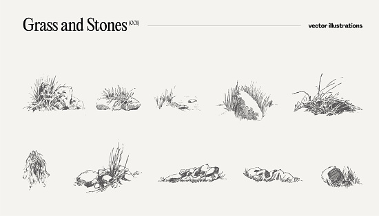 Vector illustration of grass and stones, drawing. Vector illustration