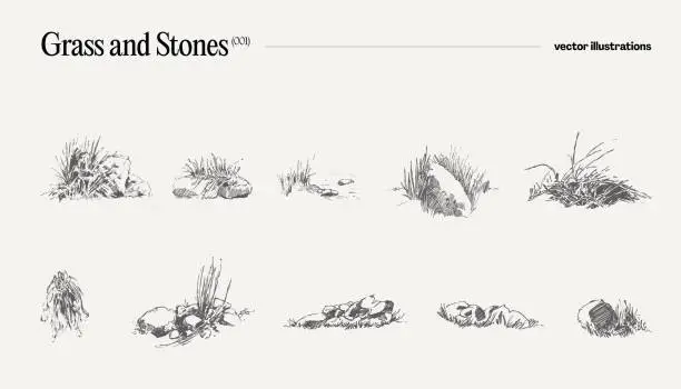 Vector illustration of Vector illustration of grass and stones, drawing