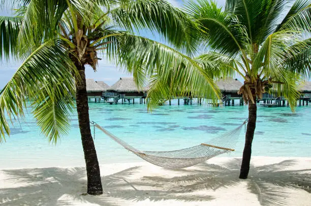 Hammock on the beach on the island of Moorea. The calm and clear waters of a lagoon.