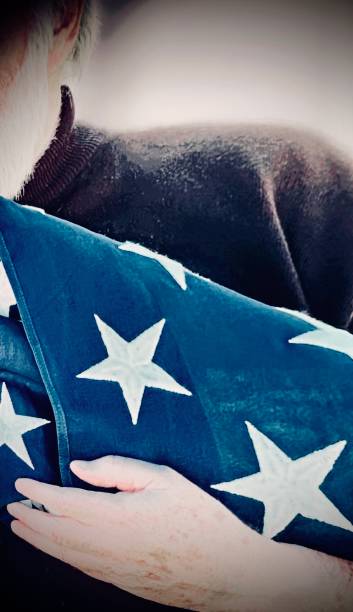 пожилая рука скорбящего ветерана вьетнама держит сложенный американский флаг над сердцем в память о любимом человеке, брате и друге - military funeral armed forces family стоковые �фото и изображения