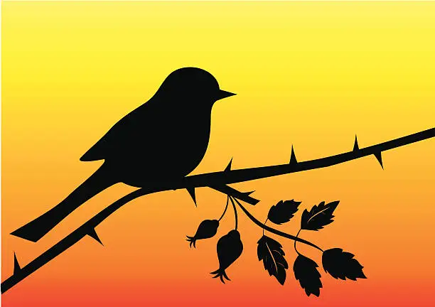 Vector illustration of Bird on the dogrose branch