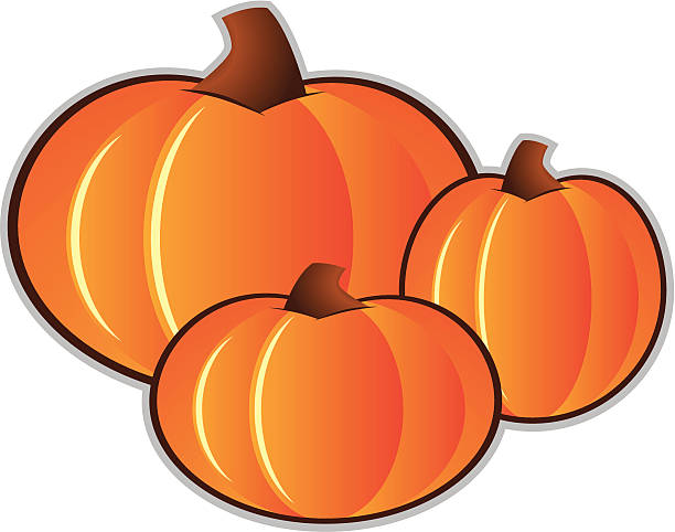 Three Pumpkins vector art illustration