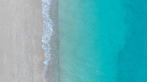 istock Beach Wave water in the Tropical summer beach with  sandy beach background 1641552322