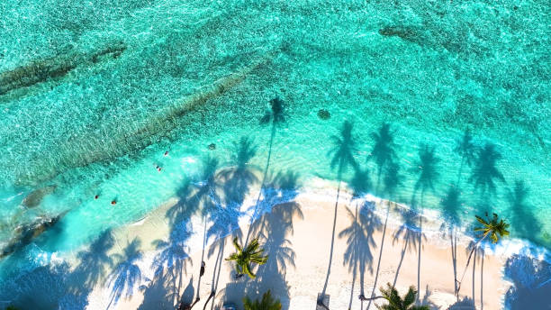 istock Summer palm tree  and Tropical beach with blue  sky background 1641552842