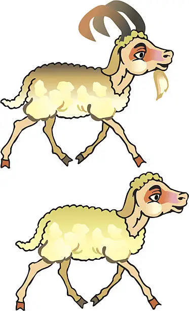 Vector illustration of sheep cartoon