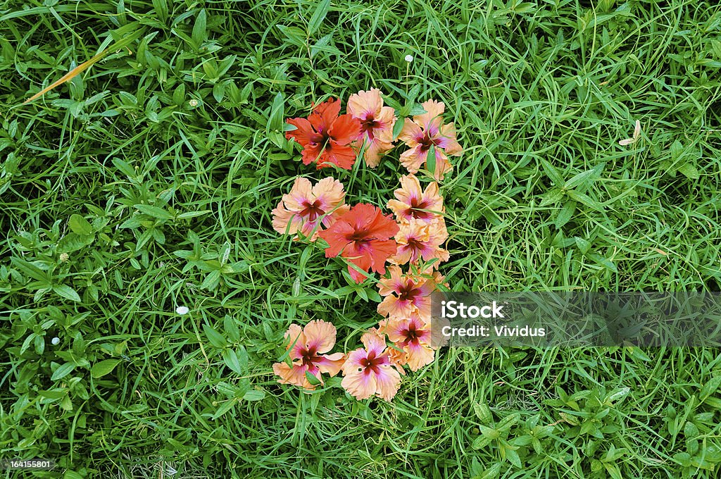 Flower Alphabet: Number 9 Number made of flowers on green grass background Alphabet Stock Photo