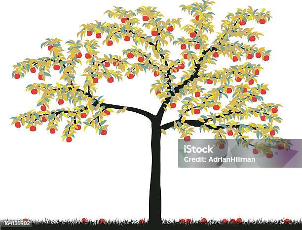 Apple Tree Stock Vektor Art und mehr Bilder von Apfel - Apfel, Apfelbaum, Baum