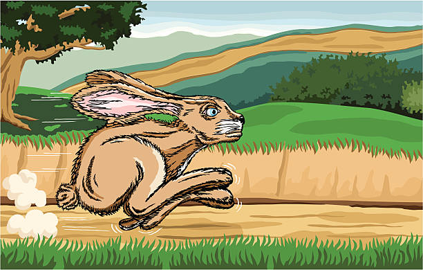 istock Jackrabbit Running Along a Country Road with Country Scene Background 164155932