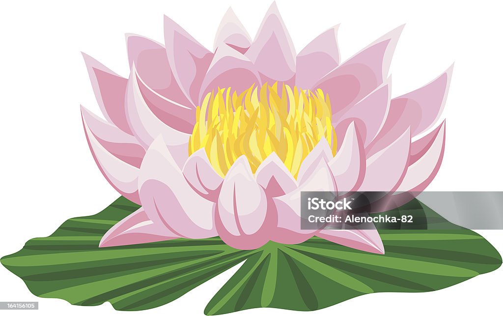 Lotus - arte vectorial de Botánica libre de derechos