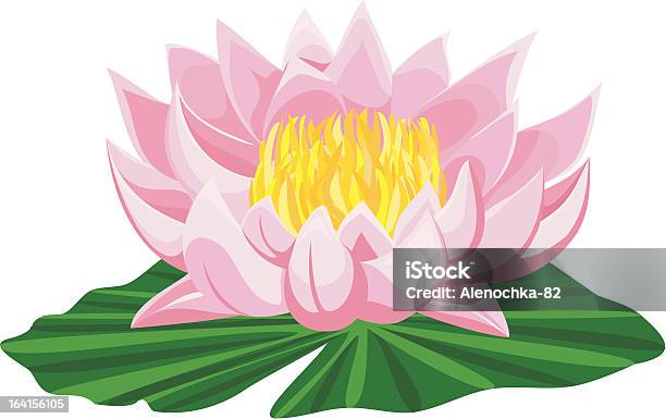 Ilustración de Lotus y más Vectores Libres de Derechos de Botánica - Botánica, Flor, Flora