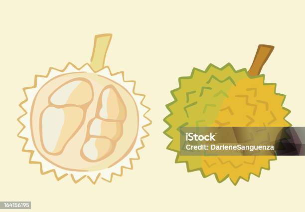 Vetores de Durian Frutas e mais imagens de Alimentação Saudável - Alimentação Saudável, Casca de fruta, Cidade de Davao