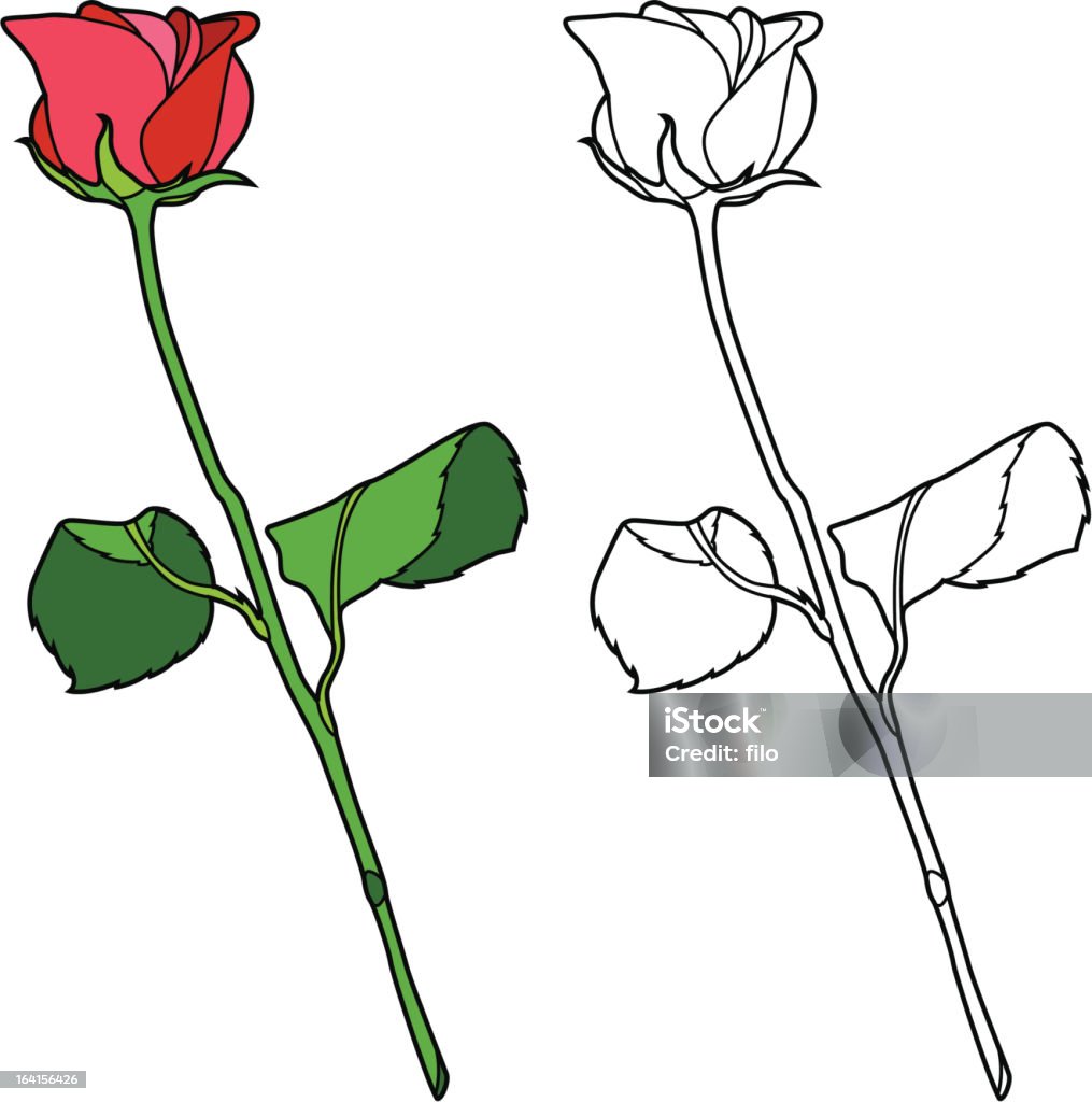 Rosa vermelhas - Vetor de Rosa - Flor royalty-free