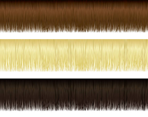 Hair Borders Very detailed vector hair elements. Only uses 3 simple linear gradients. fringe stock illustrations