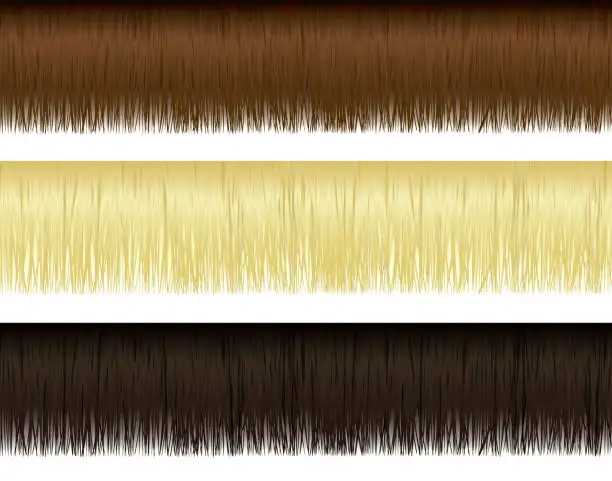 Vector illustration of Hair Borders