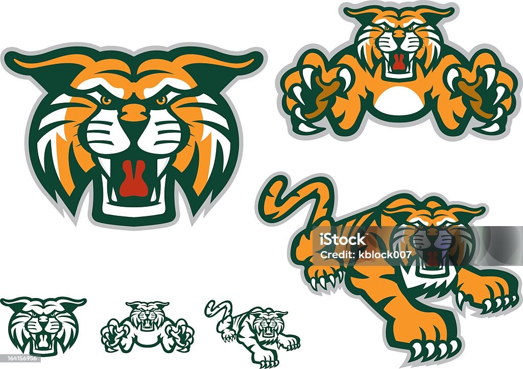 Six versions of a tiger mascot, three with orange coloring An illustration of a tiger mascot head with two head and body designs.  The file also includes one color versions of the three designs at the bottom left of the page. Wildcat - Animal stock vector