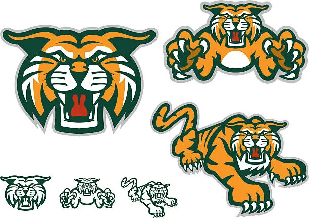 Vector illustration of Six versions of a tiger mascot, three with orange coloring