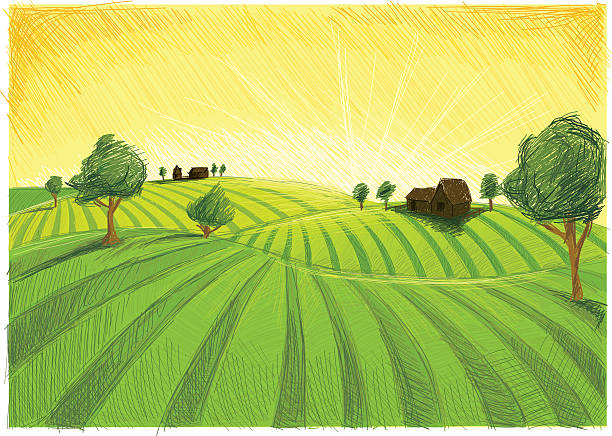 late summer пейзаж - horizon over land tree sunset hill stock illustrations