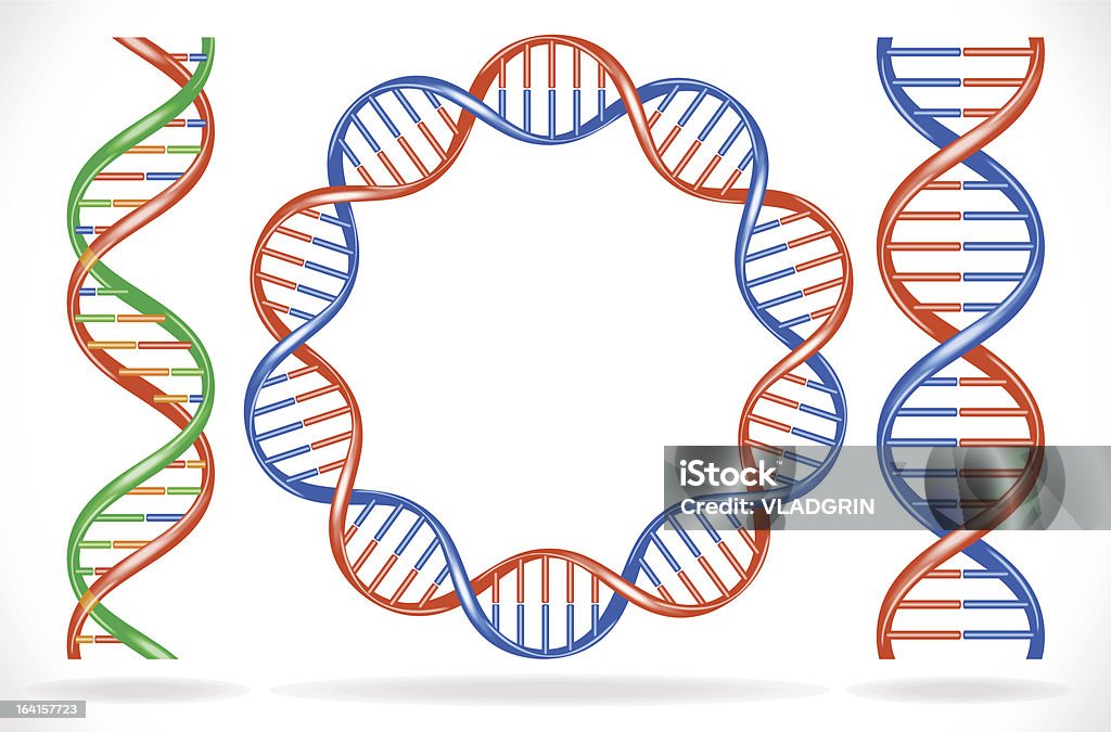 Cadeias de ADN - Royalty-free ADN arte vetorial