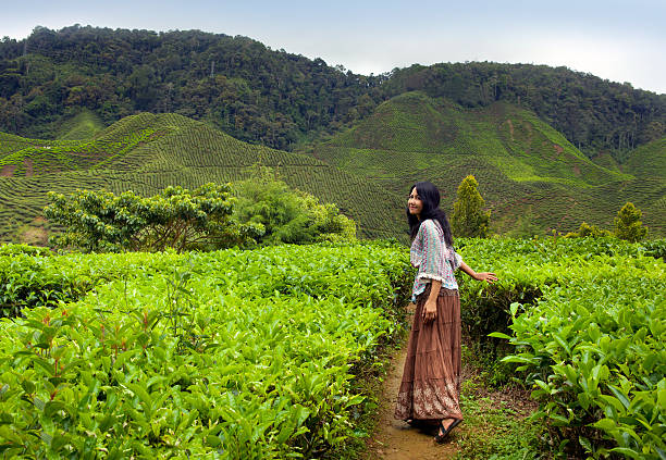 istock Beautiful woman on the nature. 164158596